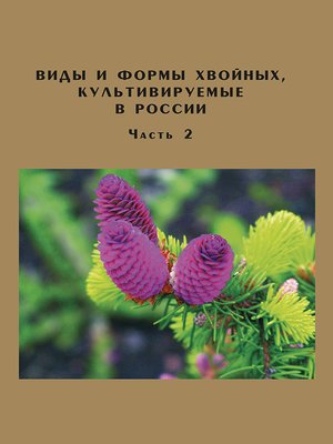eBook - Виды и формы хвойных, культивируемые в России. Часть 2. Picea A ...